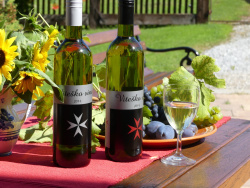 Vinogradarstvo